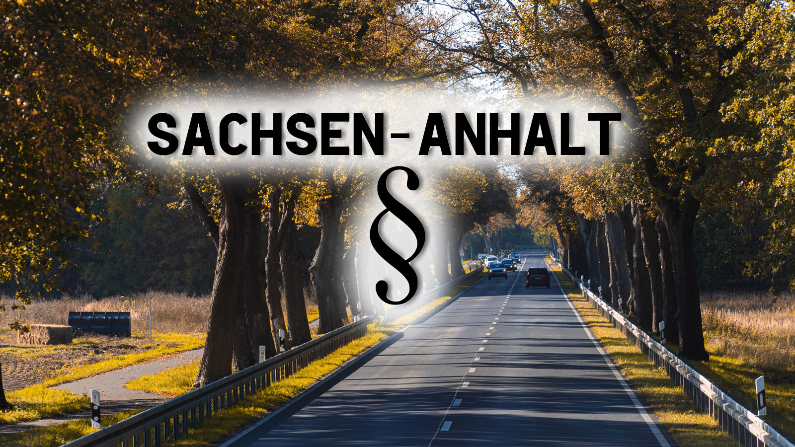 Sachsen-Anhalt: Rechtliche Rahmenbedingungen beim Reitplatzbau