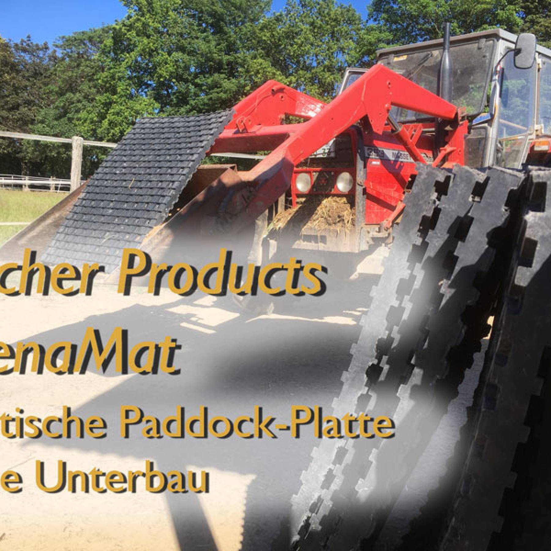 Country Reiten Paddock Platten ohne Unterbau – Bacher Products ArenaMat. Test bestanden!